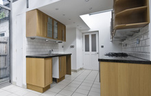 Bradnor Green kitchen extension leads